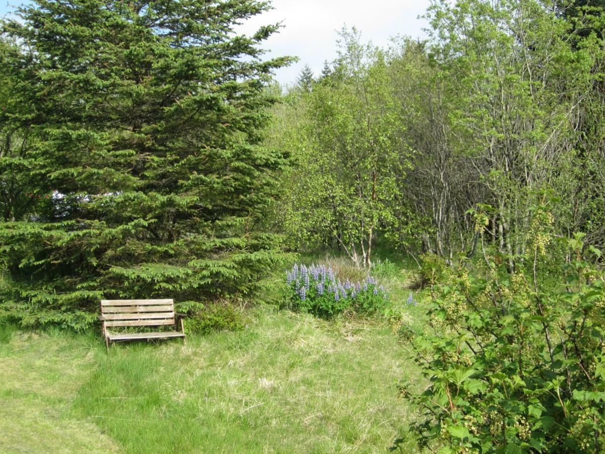 Homestay Ulfarsfellsvegur 20, 113 Rvk Birkihlid